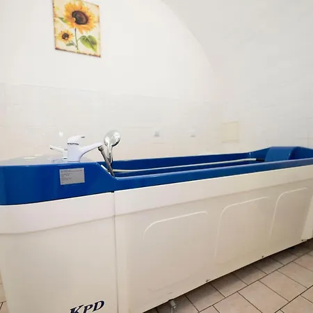 Paris Hotel Mariánské Lázně